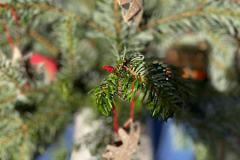 cf6f78e2-7b94-41ef-a418-4c7729eb992d-Copy