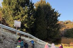 FullSizeRender-3-Copy