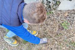 IMG_6404-Copy
