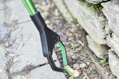 IMG_6406-Copy