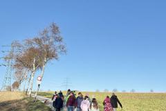 IMG_6411-Copy