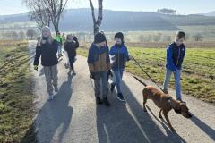 IMG_9010-Copy