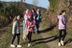 IMG_9016-Copy
