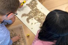 13c40af8-3cdd-4b1a-96b5-53d31ddae746-Copy