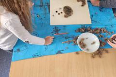 7d7a7cad-4a18-4ff5-ad65-74a57b4b8226-Copy