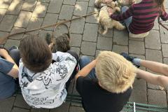 IMG_6314-Copy