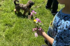 IMG_6342-Copy