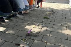 IMG_6427-Copy