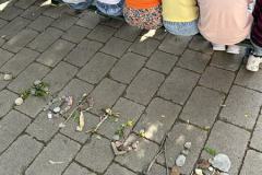 IMG_6433-Copy