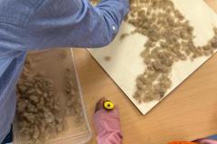 ab0279a1-7498-4a54-b996-85fec2ecb47f-Copy