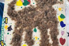 e4d46156-781e-484a-8c53-9228c5e83464-Copy