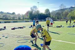IMG_2233-Copy