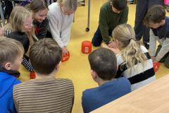 IMG_8873-Copy