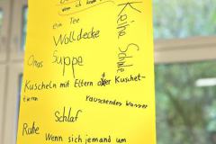 IMG_4722-Copy