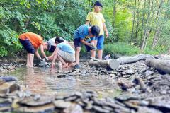 1a55f348-1add-4cfe-b5a9-a1e93fe2a260-Copy