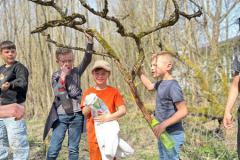 2416b69b-de97-4087-a2c5-fb091b98cfe6-Copy