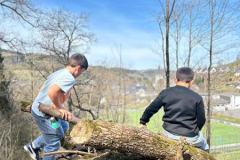 27b9923a-181b-4f10-a36b-8b611b14e3c9-Copy