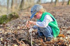 2f864947-856a-437e-b6fa-fcd3303503df-Copy