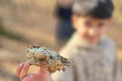 737edc1a-9c34-4276-aedb-cad217133ba1-Copy