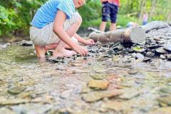 af4707cf-f799-4f27-b35f-8b41009d8447-Copy