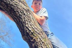 d19a0328-8e25-4cca-ad78-97747da4df6d-Copy