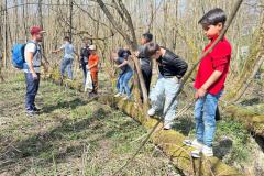 fe311e37-0fb1-4159-9e56-ce8678cd1056-Copy