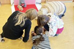 IMG_6074-Copy