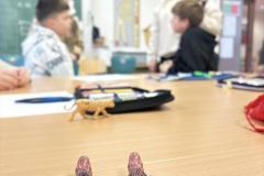 IMG_6075-Copy