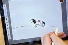 IMG_6093-Copy
