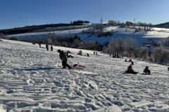IMG_3124-Copy