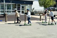 IMG_5012-Copy