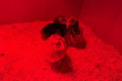 3937c34b-d959-466e-b59c-834fe6c3ee66-Copy