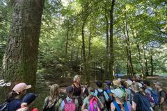 IMG_0589-Copy