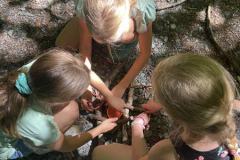 IMG_0632-Copy